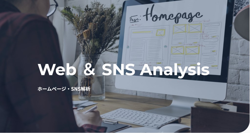 ホームページ・SNS解析